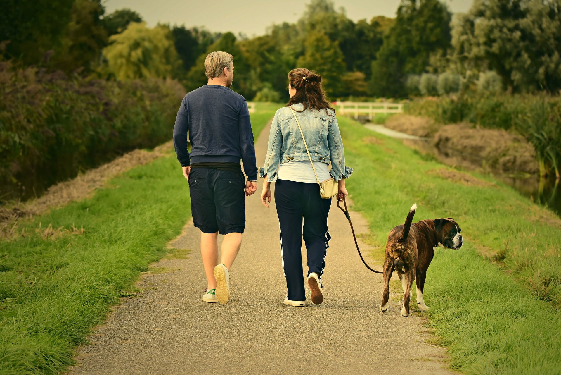 Six Reasons Your Pooch will Love the Lily Pad Too… Blog Post